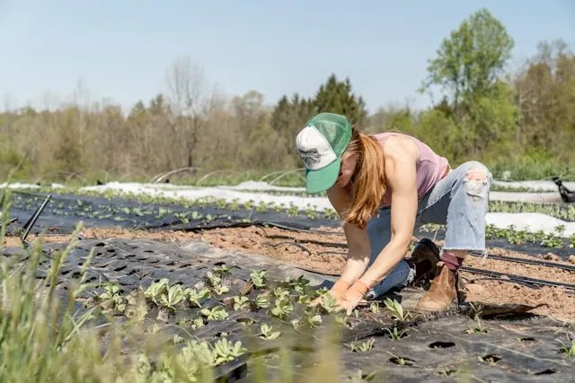Agrivoltaïsme agricultrice